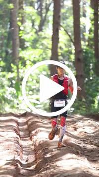 BIB:  <button type="button" onclick="openModal(26569434)" class="btn btn-primary btn-sm float-right" data-toggle="modal" data-target=".modal-high-quality">
                <i class="fa fa-download"></i> Download
                </button>